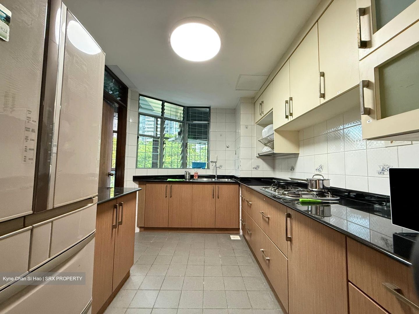 Astor Green (D21), Condominium #443377211